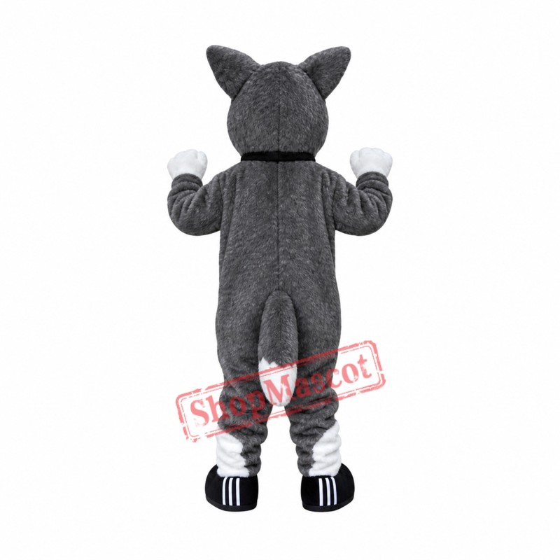 Cute Plush Husky Mascot Costume