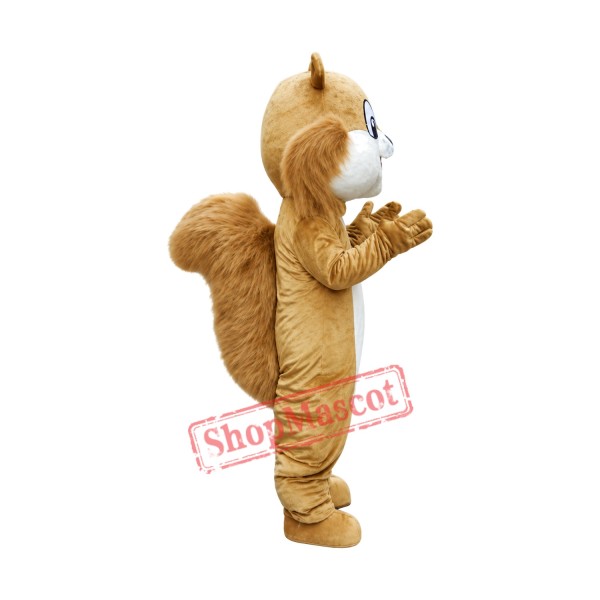 Friendly Adult Squirrel Mascot Costume Friendly Adult Squirrel Mascot Costume