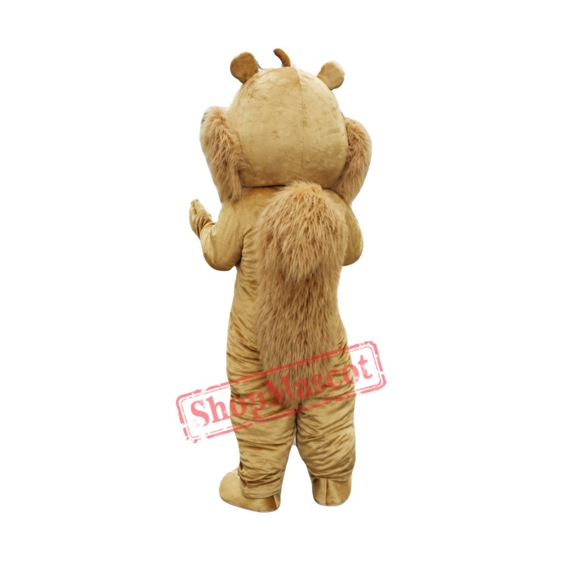 Friendly Adult Squirrel Mascot Costume