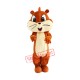 Little Cute Squirrel Mascot Costume