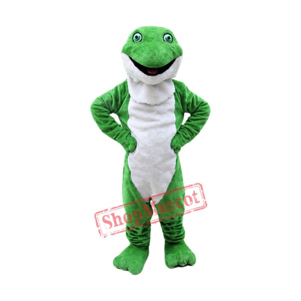 Plush Green Frog Mascot Costume