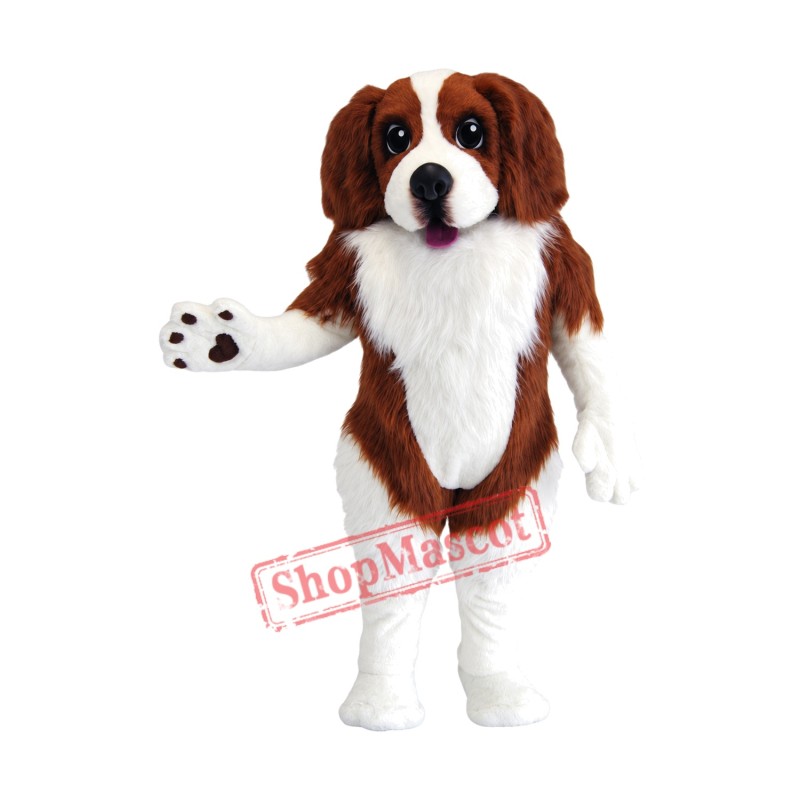 Spaniel Dog Mascot Costume Spaniel Dog Mascot Costume