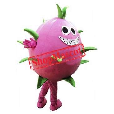 Dragon Fruit Mascot Costume