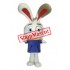 Lovely little Bunny Mascot Costume
