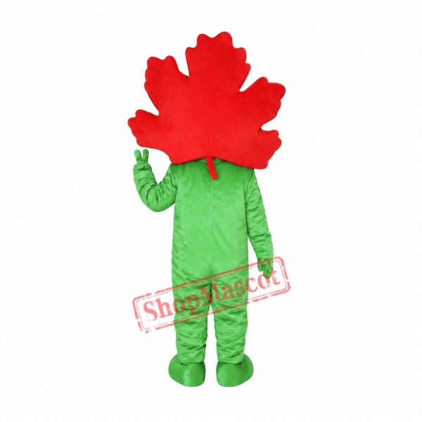 Maple Leaf Mascot Costume