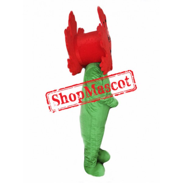 Maple Leaf Mascot Costume