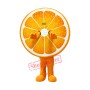 Juicy Orange Mascot Costume