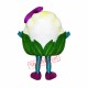Cauliflower Mascot Costume Cauliflower Mascot Costume