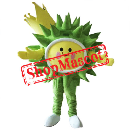 Durian Fruit Mascot Costume
