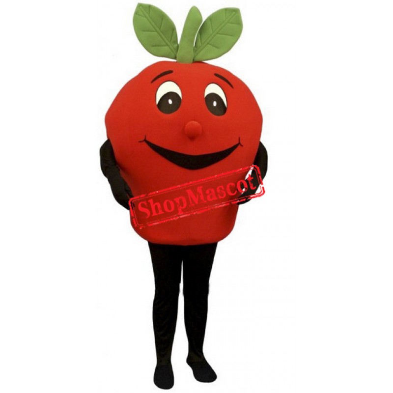 Happy Lightweight Red Apple Mascot Costume