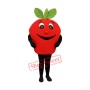 Happy Lightweight Red Apple Mascot Costume