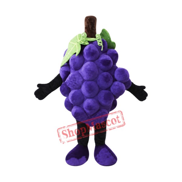 Purple Grape Mascot Costume