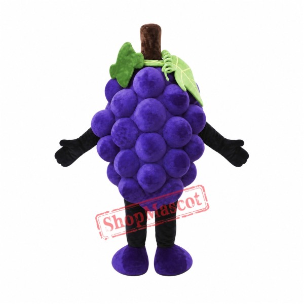 Purple Grape Mascot Costume Purple Grape Mascot Costume