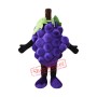 Purple Grape Mascot Costume