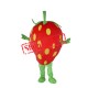 Cheap Strawberry Mascot Costume