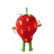 Cheap Strawberry Mascot Costume