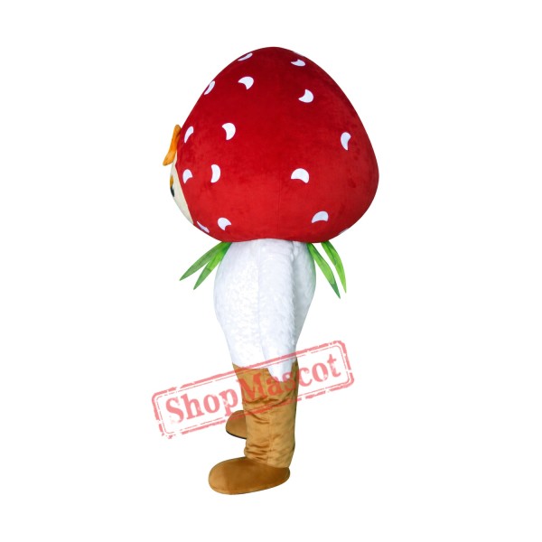 Strawberry Boy Mascot Costume