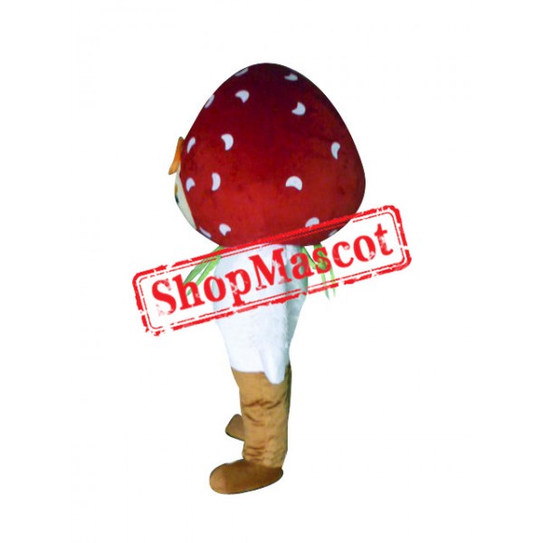 Strawberry Boy Mascot Costume