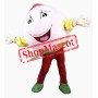Pink Peach Mascot Costume