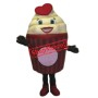 Girl Ice Cream Mascot Costume