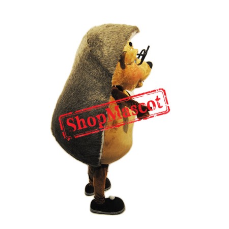 Cute Lightweight Hedgehog Mascot Costume
