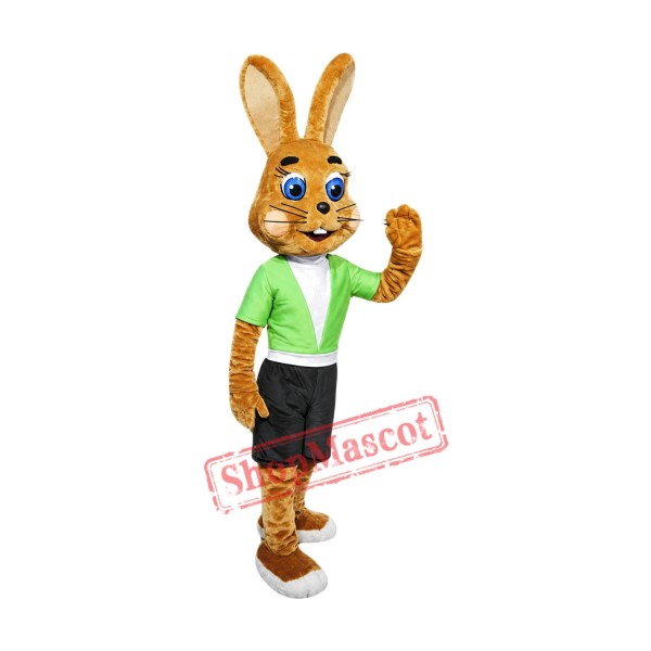 Friendly Brown Rabbit Mascot Costume