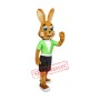 Friendly Brown Rabbit Mascot Costume