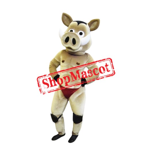 Power Hedgehog Mascot Costume