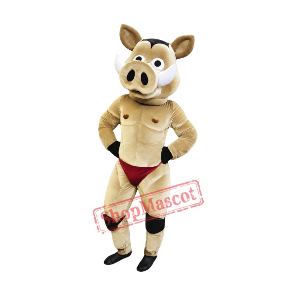 Power Hedgehog Mascot Costume