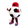 Football Mascot Costume