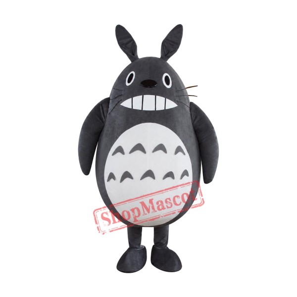 Totoro Mascot Costume