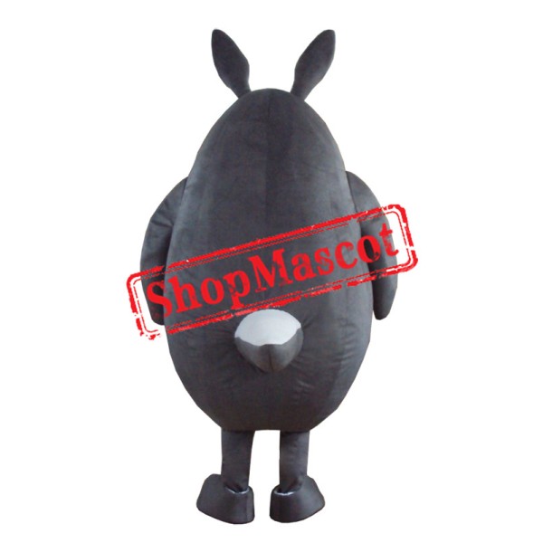 Totoro Mascot Costume