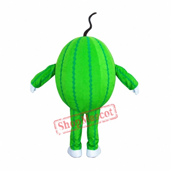 Cheap Watermelon Mascot Costume