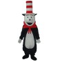 Took The Strange Cap Bear Mascot Costume