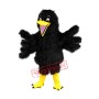 Black Bird Mascot Costume