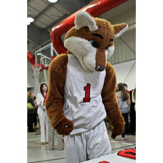 Basketball Sport Fox Costume Mascot Costume