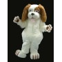 Wizard Dog Mascot Costume