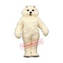 White Dog Mascot Costume