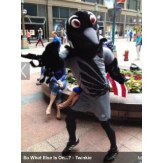 Wonderful Loon Eagle Mascot Costume