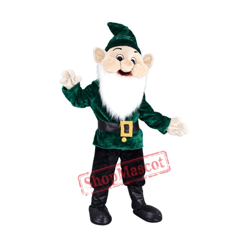 Elf Costume Mascot Free Shipping Elf Costume Mascot Free Shipping