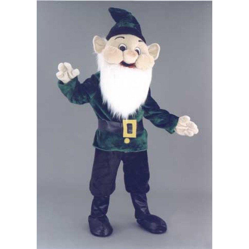 Elf Costume Mascot Free Shipping
