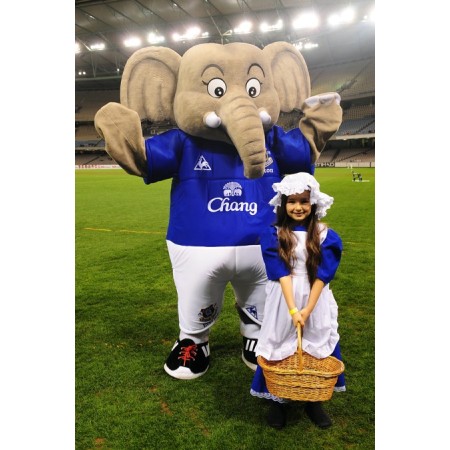 The Elephant Mascot Costumes Free Shipping