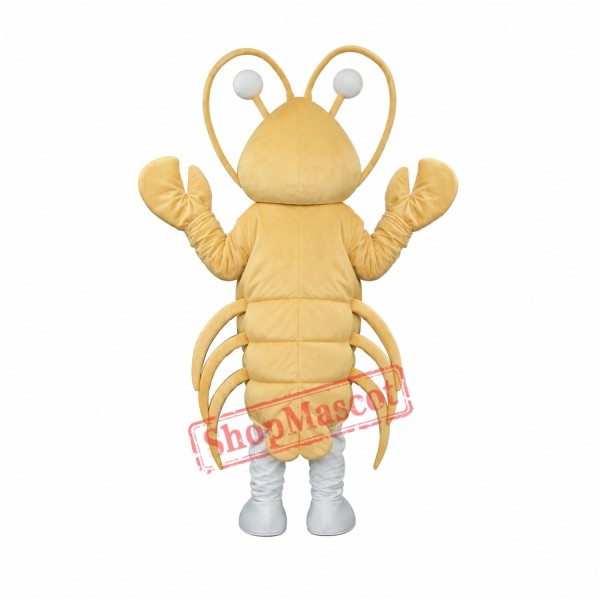 Light Yellow Long-Whiskered Lobster Free Shipping Light Yellow Long-Whiskered Lobster Free Shipping