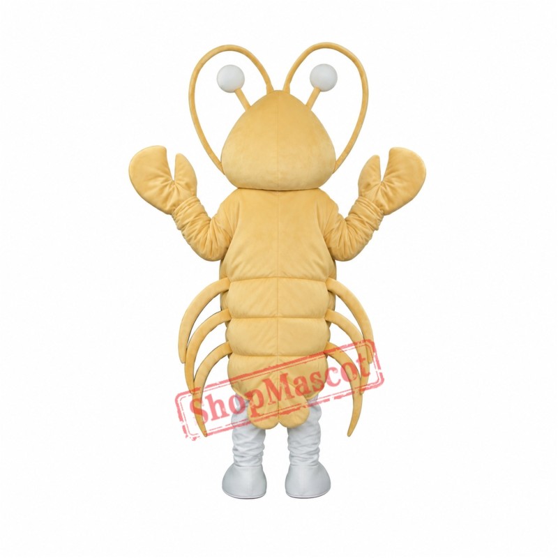 Light Yellow Long-Whiskered Lobster Free Shipping Light Yellow Long-Whiskered Lobster Free Shipping