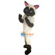 Sally Siamese Cat Mascot Costume Adult Costume