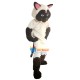 Sally Siamese Cat Mascot Costume Adult Costume