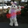 Affordable Purple Dress Easter Bunny Mascot Costume