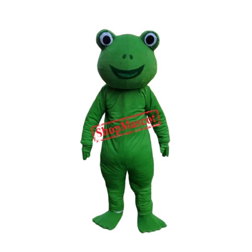 Affordable Happy Lightweight Frog Mascot Costume