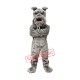 Realistic Lightweight Bulldog Mascot Costume Realistic Lightweight Bulldog Mascot Costume
