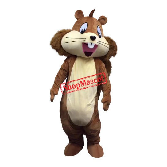 Realistic Lightwieght Squirrel Mascot Costume